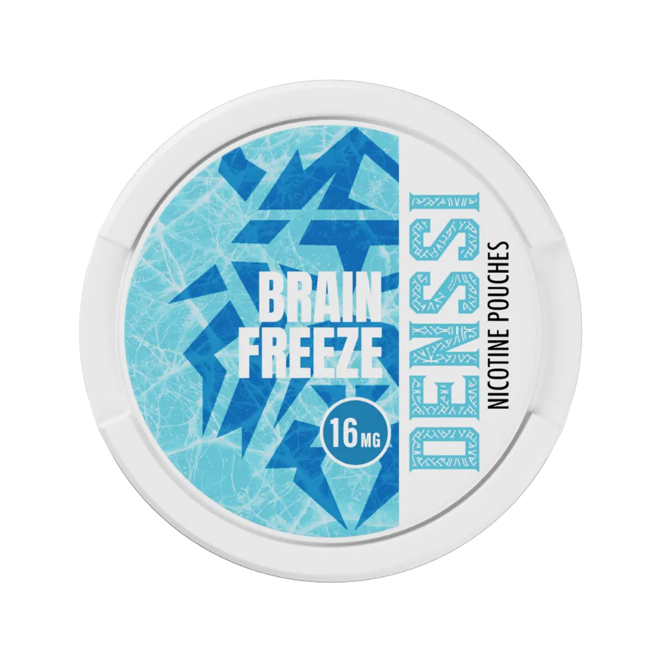 denssi-brain-freeze-nikotinbeutel-minze-extra-stark-20er image 1
